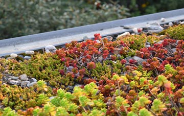 the cost of Chidden green roof installation
