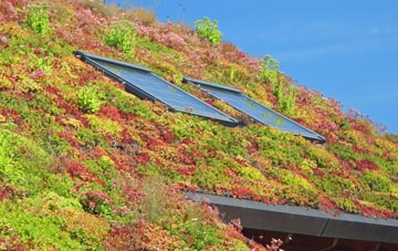 Chidden living roof systems